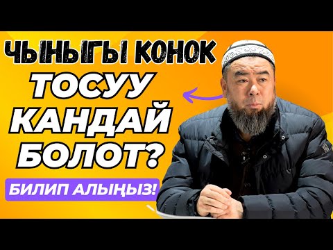 Видео: КОНОК КЕЛСЕ, КАНТИП ТУУРА ТОСУШ КЕРЕК! БИЛИП АЛЫНЫЗ! ЧЫНЫГЫ КОНОК ТОСУУ УШУНДАЙ!