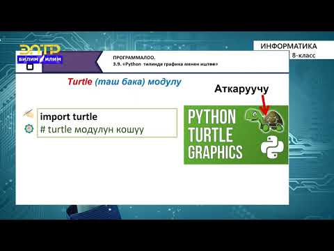 Видео: 8-класс | Информатика  | Python программалоо тилинде графика менен иштѳѳ