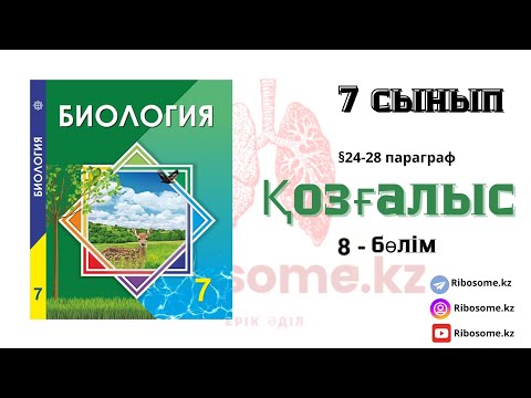 Видео: 7-сынып Қозғалыс 8-бөлім / Ribosome.kz / Ерік Әділ