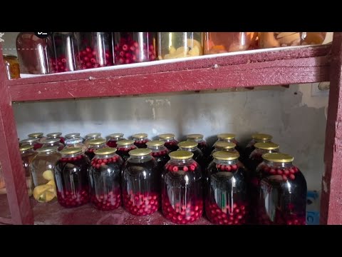 Видео: БУ БАНКАЛАР ОТВОРАДИ ДЕГАНЛАРГА🤣🤣🤣