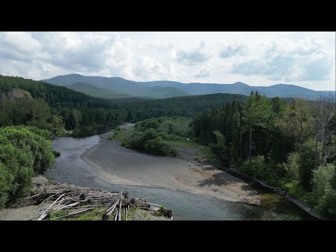 Видео: ТАЙГА, РЕКА, ИДУ ПО ЯМАМ!!! ХАРИУС КЛЮЁТ, НО! СКОЛЬЗКИЕ КАМНИ, БЬЮ НОГИ!