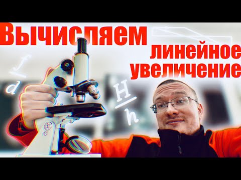 Видео: Линейное увеличение 🔬Примеры решения задач