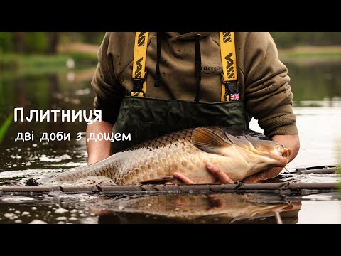 Видео: ПЛИТНИЦЯ | ДВІ ДОБИ З ДОЩЕМ | НЕРЕСТ