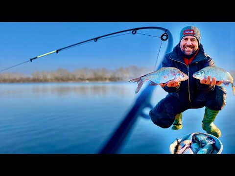 Видео: ✅ А потім пішла РОЗДАЧА! 🎣 ФІДЕР, ЛЯЩ, 8 Березня, річка Дніпро.🐟🐟🐟 Рибалимо разом з Kruchkoff.