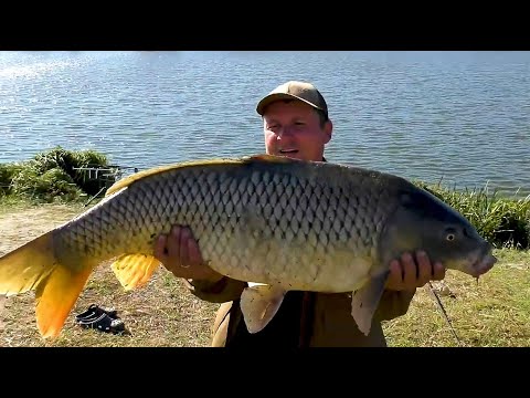 Видео: Трофейная рыбалка на карпа поздней осенью на реке - Чёрный Ташлык