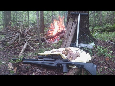 Видео: подготовка иж\мр 60\61 для переделки в pcp\пцп