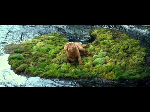 Видео: "В СВЕТА НА ДИНОЗАВРИТЕ 3D ФИЛМ"