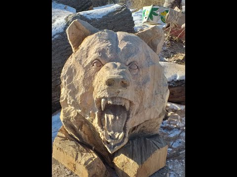 Видео: Медведь для понедельника