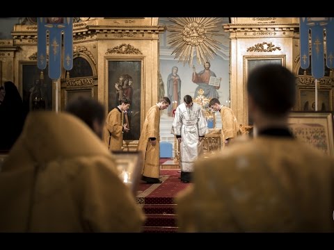 Видео: Хиротония во диакона чтеца Григория Борисова / The ordination Gregory Borisov to Holy Diaconate