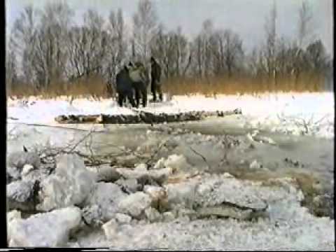 Видео: Поднятие танка из Черного озера в Косино