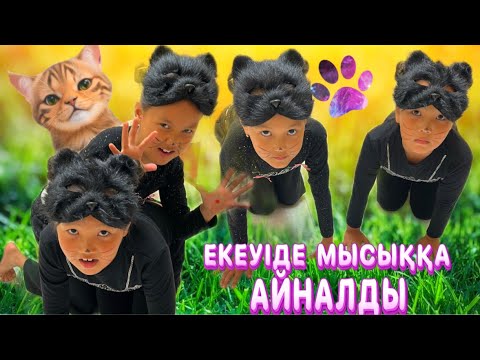 Видео: ЕКЕУІДЕ МЫСЫҚ БОЛЫП КЕТТІ ЕНДІ НЕСТЕЙМІН😱