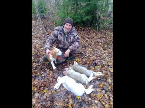 Видео: Удачный выход . 04 11 22