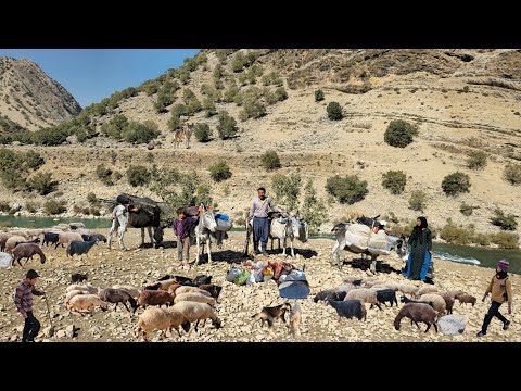 Видео: Сезонная миграция иранских кочевников с гор к рекам и свежим пастбищам 🐑🏞️