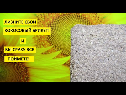 Видео: Кокосовый брикет. Ответы на все вопросы о кокосовом субстрате - что добавлять и чем размачивать.
