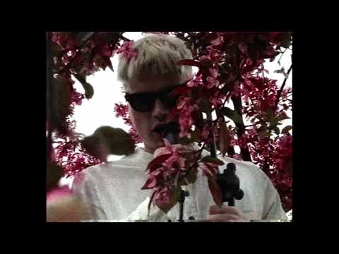 Видео: Электрофорез - Первоцвет