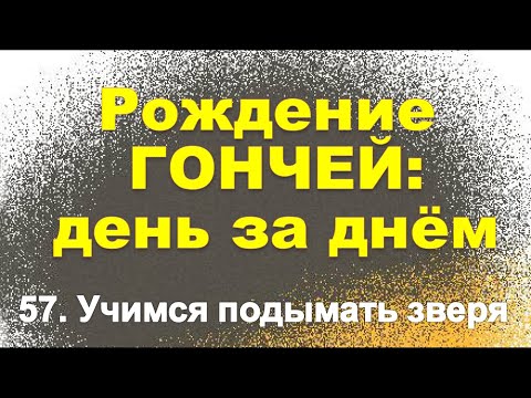 Видео: Сюжет 57. Учимся подымать зверя