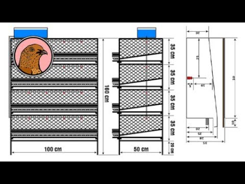 Видео: КАК СДЕЛАТЬ КЛЕТКУ ДЛЯ ПЕРЕПЕЛОВ? (НА 120 ГОЛОВ)