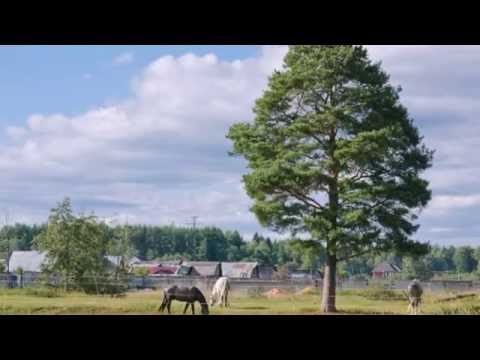 Видео: "Даль великая,даль бескрайняя..."