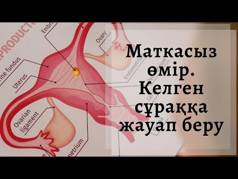 Видео: Маткасыз өмір. Келген сұраққа жауап беру.