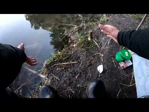 Видео: НОЧНАЯ РЫБАЛКА НА РЕЗИНКУ донку! Рыбалка на леща как в детстве. Рыбалка в конце июля 2022