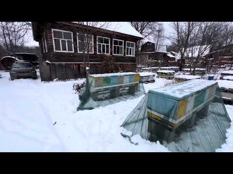 Видео: Организация зимовки в 6-и рамочных ппс ульях