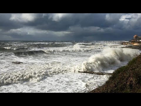 Видео: Шторм в Сочи и  розыгрыш южных сладостей!  #сочи #всеосочи