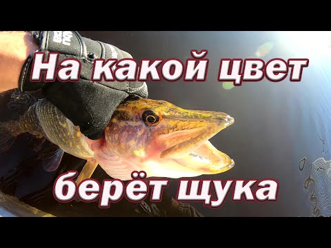 Видео: На КАКОЙ ЦВЕТ будет БРАТЬ ЩУКА !!! ЭТО НАДО ВИДЕТЬ ! Как Цвет Силикона Ловит Щуку !!!