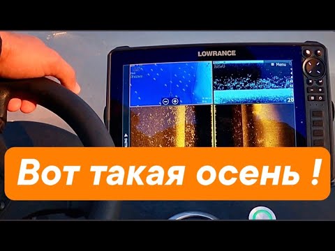 Видео: Осенний жОр? Не, не слышал!