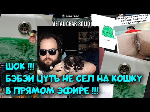 Видео: ФОТОЖАБЫ И РАДОСТНЫЙ БЭБС | Бэбэй смотрит фотожабы