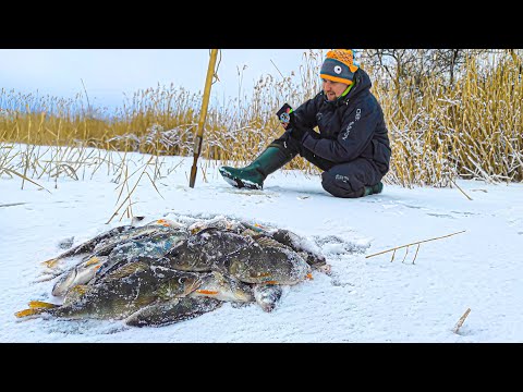 Видео: ❄️НА ЩО ЛОВИТИ, 🐟 коли окунь Є але НЕ КЛЮЄ? Зимова риболовля на балансир і безмотилки.