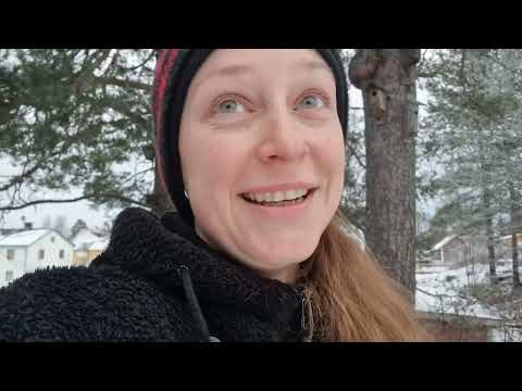 Видео: Първа работа, зимни картини и болно детенце в Северна Швеция