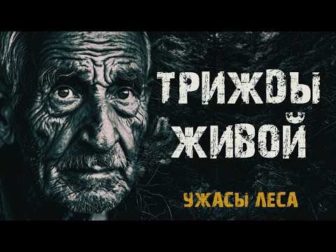 Видео: ТРИЖДЫ ЖИВОЙ В ТАЙГЕ. Страшные истории на ночь. Мистические рассказы про лес. Мистика тайги