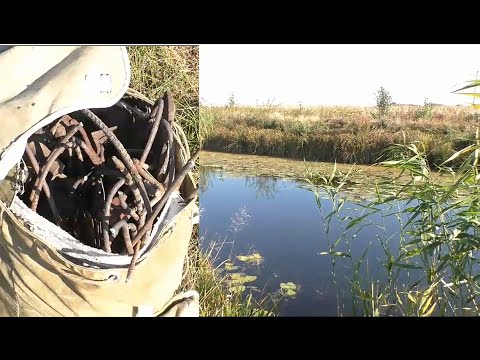 Видео: Коп. Сбор металла. Собрал на покупку курицы