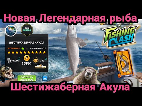 Видео: Новая Легендарная рыба на Кейптаун - Шестижаберная Акула / Fishing Clash: Реальная рыбалка