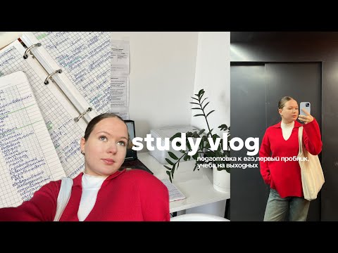 Видео: study vlog // ботаю егэ с 5:30 утра (история и обществознание), первый пробник,выходные