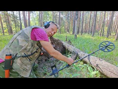Видео: Под корнями поваленного дерева меня ожидала отличная находка или поиски в лесу.