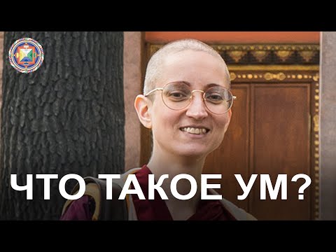 Видео: «Что такое ум?» - лекция досточтимой Тубтен Пелгье