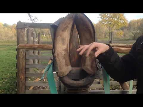 Видео: Свалка лошадиных хомутов