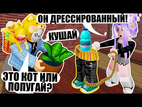 Видео: МЫ С ЛАНОЙ ЗАВЕЛИ ПИТОМЦА... Roblox SCP-3008