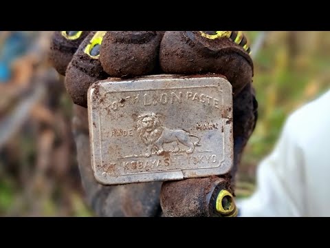 Видео: «Двухдневный поход за урочище Урутайка» Верховья реки Найба. Остров Сахалин.