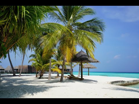 Видео: Релакс музыка для сна и отдыха 1 час