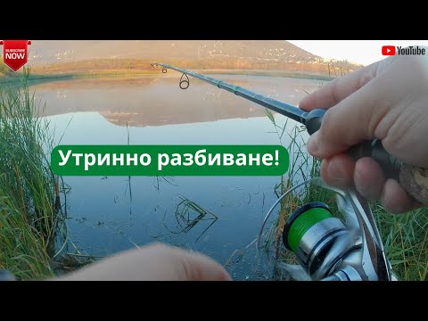 Видео: Утринно разбиване - Щуки и костури на макс!