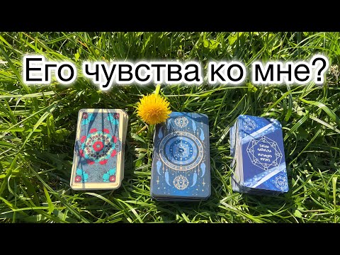 Видео: Какие чувства ко мне испытывает загаданный мужчина? Всё о нём и о его мыслях про отношения 💕👩‍❤️‍💋‍👨