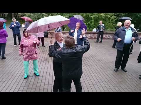 Видео: БУКЕТ ИЗ БЕЛЫХ РОЗ... ТАНЦЫ 💃🕺💃🕺💃 ГОМЕЛЬ ♥️