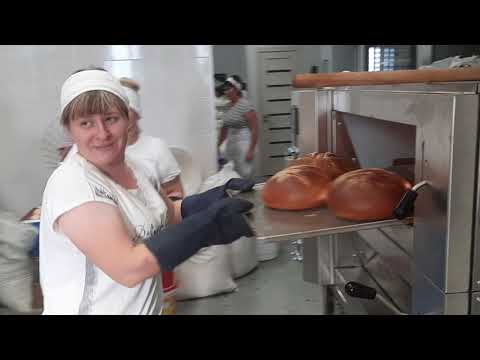 Видео: Подовая печь Panemor PMK45