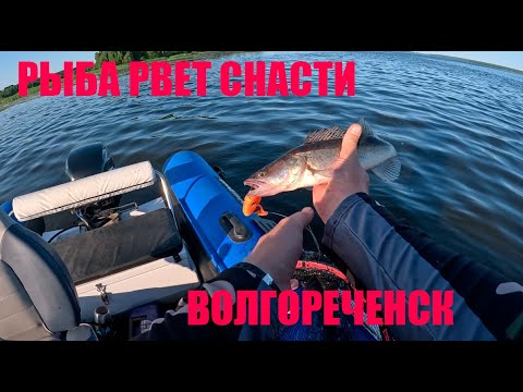 Видео: РЫБА РВЕТ СНАСТИ!!! ЩУКА, ОКУНЬ И СУДАК