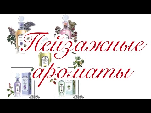 Видео: Пейзажные ароматы от BROCARD. #матьвсеяброкара #яжматьброкара