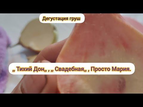 Видео: Дегустация груш. Тихий Дон, Свадебная, Просто Мария.