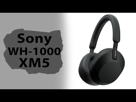 Видео: Cравнение обзор Sony WH 1000XM4 и XM5