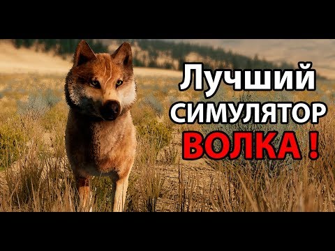 Видео: Лучший в мире симулятор ВОЛКА !